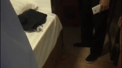 6-22补档抓嫖现场不准穿衣服脱光了拍照取证