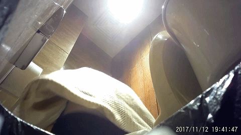 酒店女厕全景偷拍蹲着尿的极品少妇的多毛大黑鲍 3V