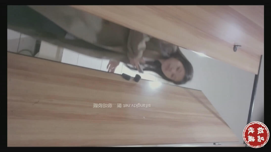 2024一月最新流出❤️厕拍极品收藏⭐全新镜头升级商场后拍前景到两个美女